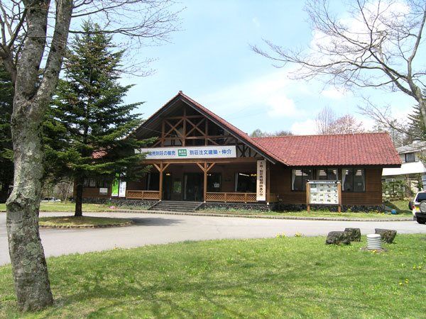 Land for Sale in Karuizawa - 1,638 sqm in Sengataki - Thumbnail 3