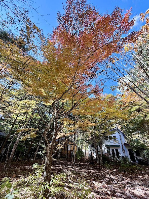 Old Karuizawa Land 929 sqm for Sale Near Station - Thumbnail 2