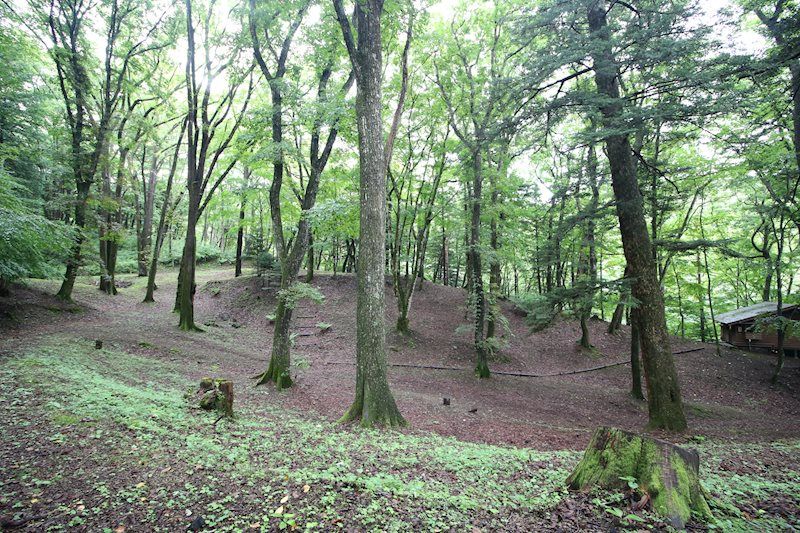 Expansive 6,123m² Land in Old Karuizawa's Happy Valley - Thumbnail 2