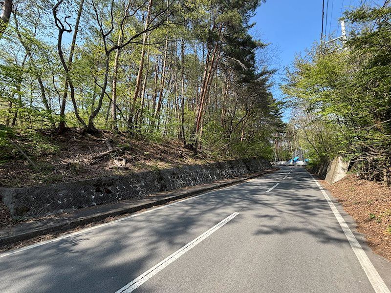 Expansive 7,194m² Land for Sale in Miyota, Nagano - Thumbnail 3