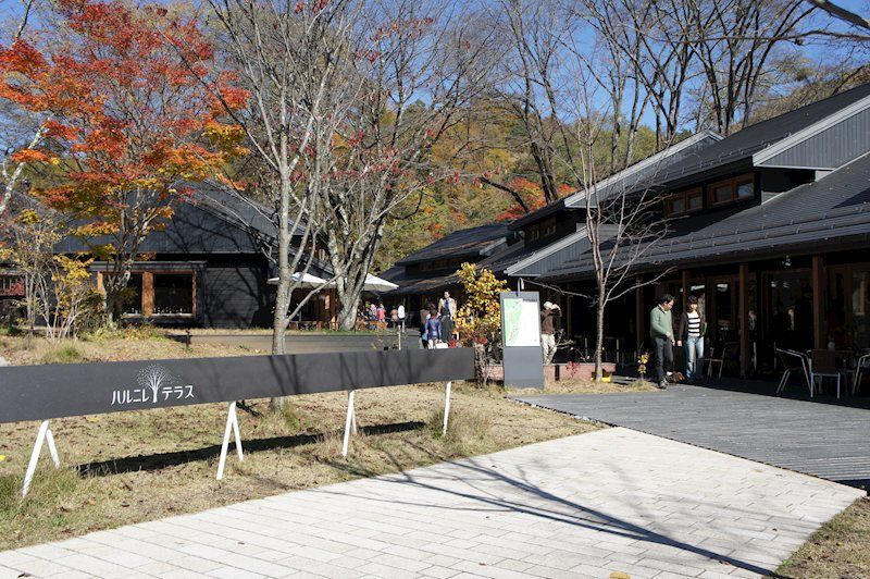 1,024 sqm Building Land for Sale in Karuizawa, Nagano - Thumbnail 2