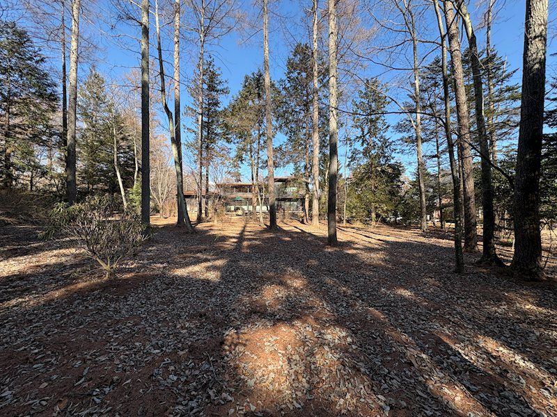 Flat Vacant Land for Sale in Kamikura, Karuizawa, 1000 sqm - Thumbnail 4