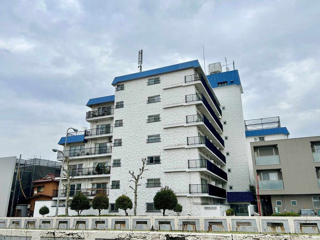 Renovated 1LDK Apartment for Sale in Setagaya, Tokyo - Image 1