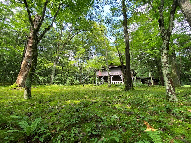 Flat Land in Atago Karuizawa 2,071 sqm - Thumbnail 3