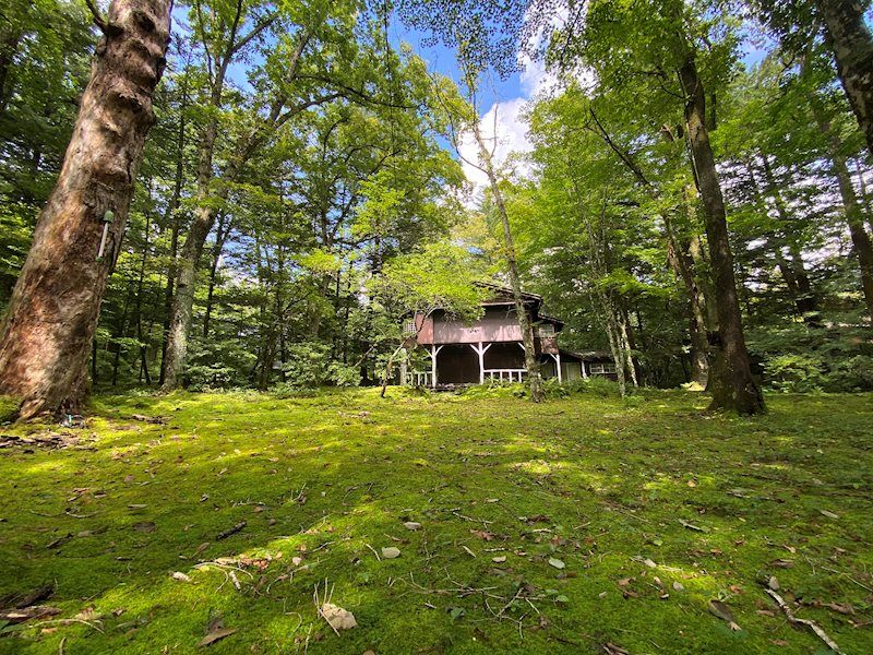 Flat Land in Atago Karuizawa 2,071 sqm - Thumbnail 2