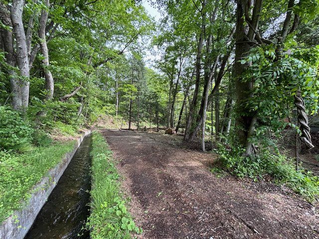 Land for Sale in Oiwake, Karuizawa, Nagano - 1330.85 m² - Thumbnail 3
