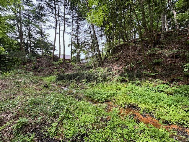 Land for Sale in Oiwake, Karuizawa, Nagano - 1330.85 m² - Thumbnail 4
