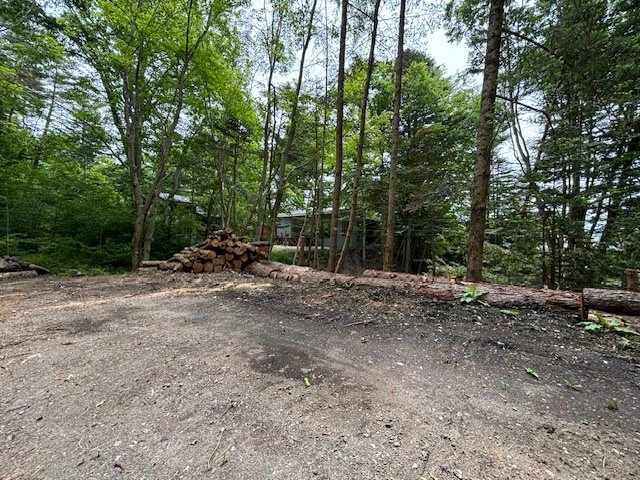 Land for Sale in Oiwake, Karuizawa, Nagano - 1330.85 m² - Thumbnail 2