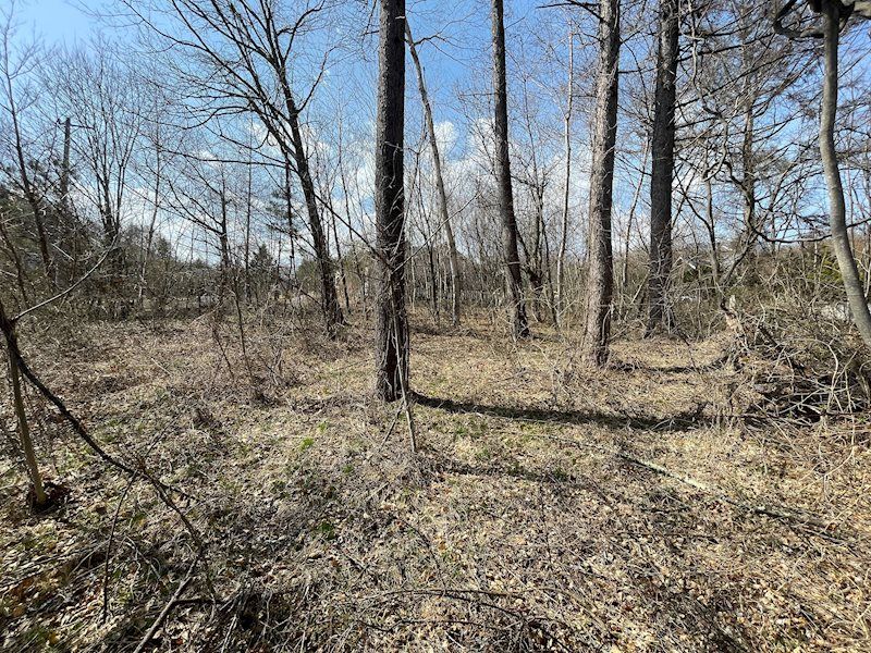 Flat Land Parcel for Sale in West Karuizawa Oiwake 2411m² - Thumbnail 3