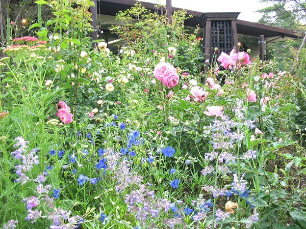 Flat Land Plot for Sale in Minami-Karuizawa, Nagano - 1,824 sqm - Thumbnail 4