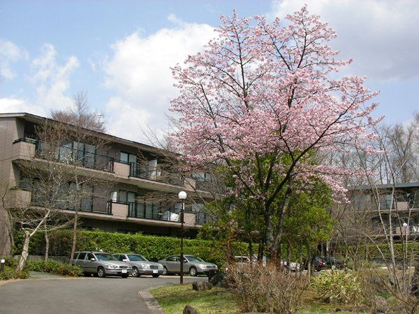 2LDK Maisonette Apartment for Sale in Minami-Karuizawa, Nagano - Thumbnail 2
