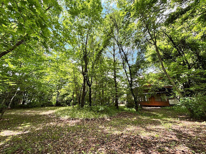 1,548 sqm Flat Land in Karuizawa, Nagano for Sale - Thumbnail 2