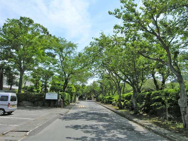 Land for Sale in Kanna, Ito, Shizuoka - Fujikyu Kanna Resort - Thumbnail 2