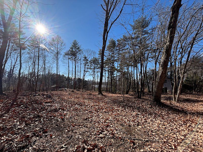 Spacious 1916m² Corner Land Lot in Karuizawa, Nagano - Thumbnail 2