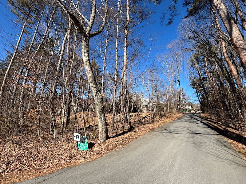 Spacious 1916m² Corner Land Lot in Karuizawa, Nagano - Thumbnail 4
