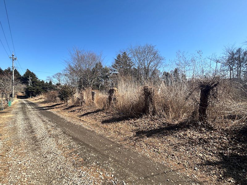 Large Flat Land Plot in West Karuizawa - 2,847 sqm - Thumbnail 3