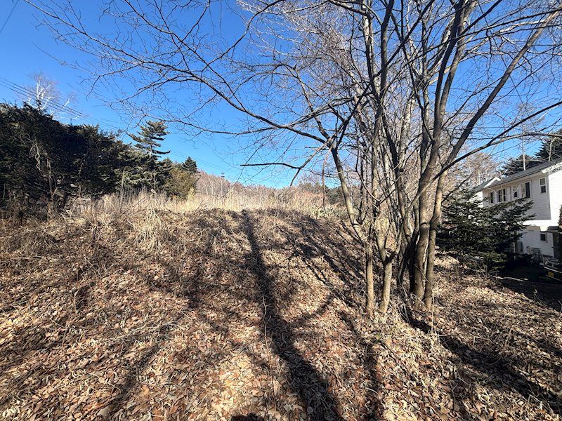 Large Flat Land Plot in West Karuizawa - 2,847 sqm - Thumbnail 2