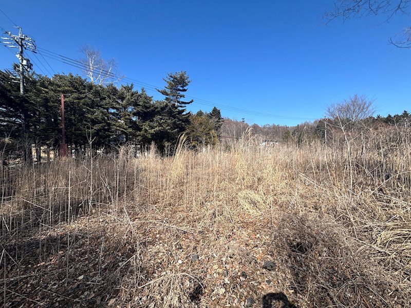 Large Flat Land Plot in West Karuizawa - 2,847 sqm - Thumbnail 4