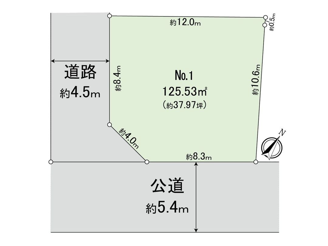 125.53 sqm Building Land for Sale in Ogikubo, Suginami, Tokyo - Thumbnail 2
