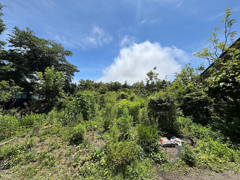 343 sqm Land for Sale in Old Karuizawa, Nagano - Thumbnail 2