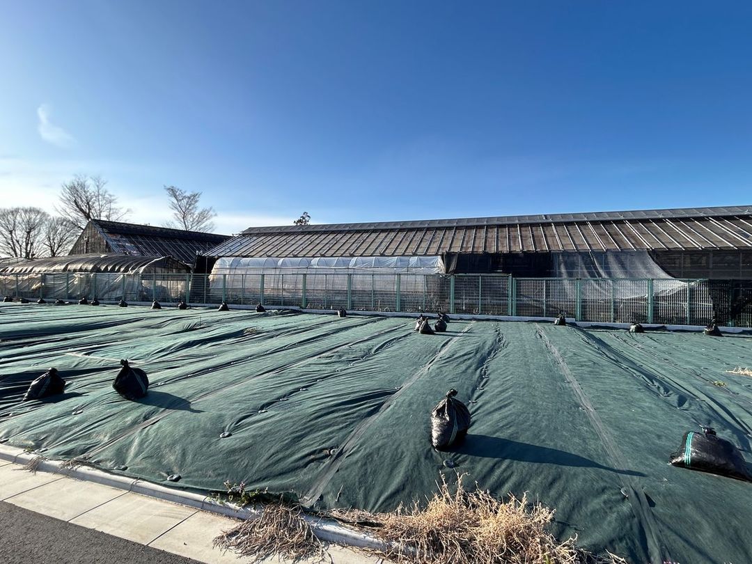 115 sqm Residential Land Plot in Kokubunji, Tokyo - Thumbnail 3