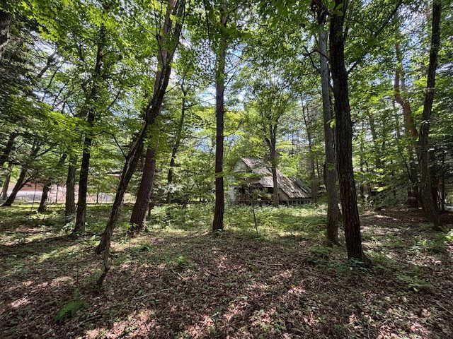 Large Land Parcel for Sale in Yagasaki, Karuizawa, Nagano - Thumbnail 4