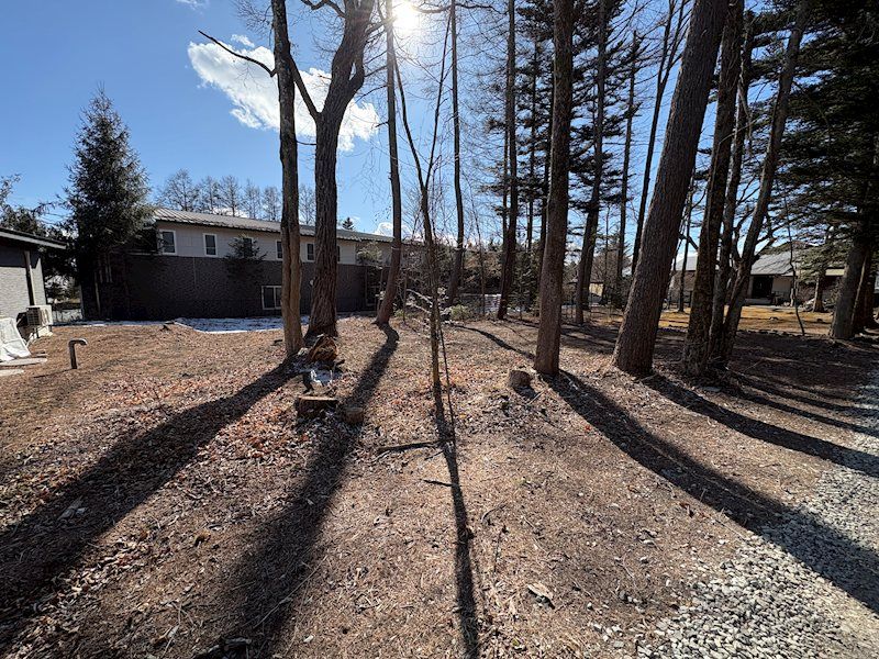 Flat Land for Sale in Nakakaruizawa, Karuizawa - 448.72 sqm - Thumbnail 3