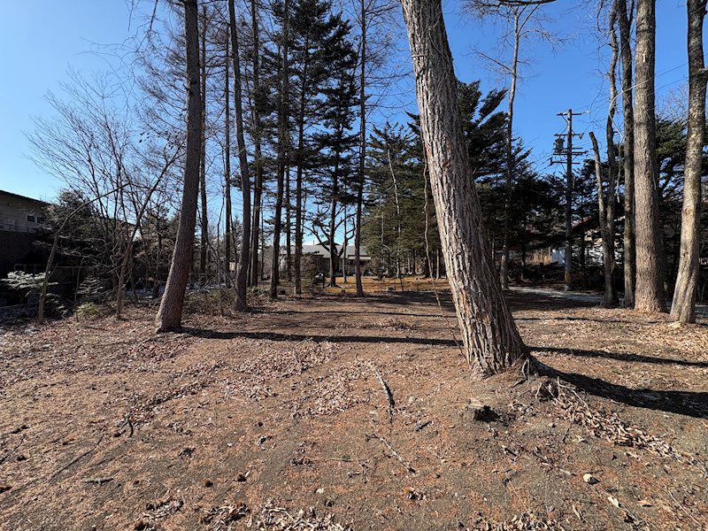 Flat Land for Sale in Nakakaruizawa, Karuizawa - 448.72 sqm - Thumbnail 4