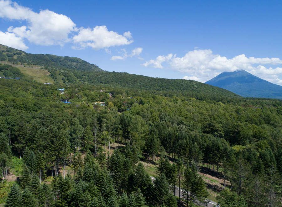 Premium Forest Lot for Sale in Niseko Annupuri Residences - Thumbnail 4