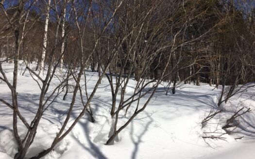 974m² Hakone Land with Direct Hot Spring Access for Villa - Thumbnail 4