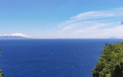 974m² Hakone Land with Direct Hot Spring Access for Villa - Thumbnail 3