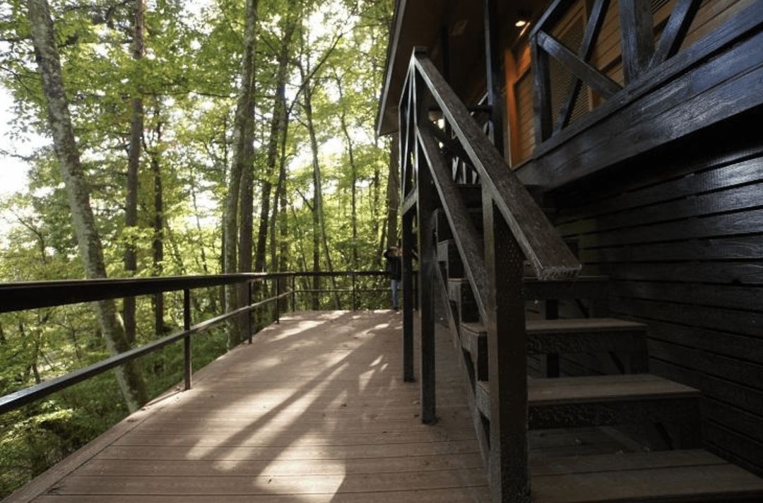 Renovated 3LDK Wooden Cottage for Sale in Karuizawa - Thumbnail 2
