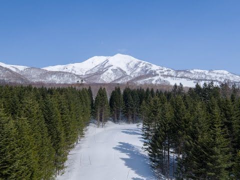 Luxury Villa Lot 18 Land for Sale in Niseko, Hokkaido - Thumbnail 3