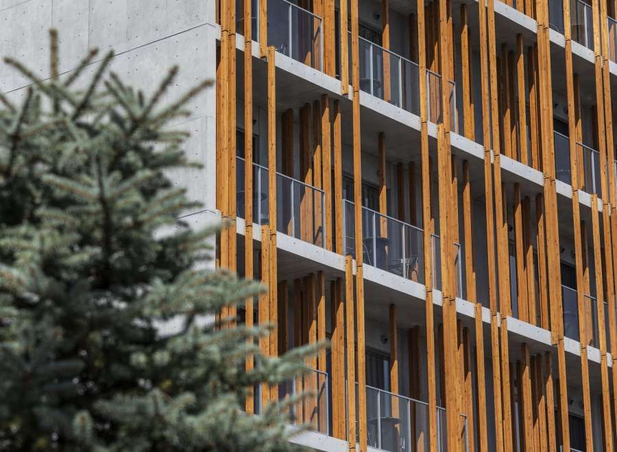 Luxury 3-Bed Apartment in Furano's Fenix West Development - Thumbnail 4