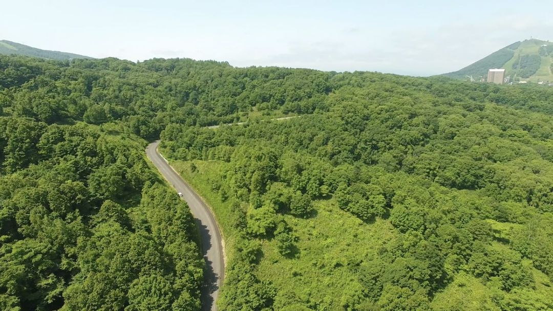 Rusutsu East Mountain Land for Sale - 48,421 sqm Plot - Thumbnail 2