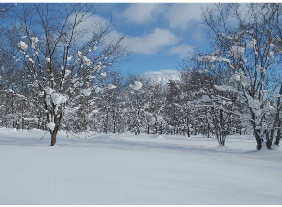 Large 6,568 sqm Residential Land for Sale in Niseko, Hokkaido - Thumbnail 2