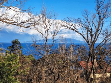Ocean View Land for Sale in Higashiizu, Shizuoka - Thumbnail 4