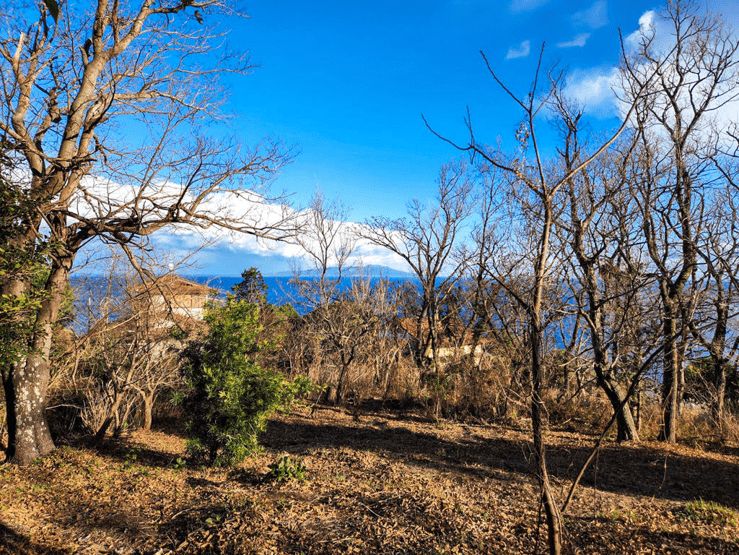Ocean View Land for Sale in Higashiizu, Shizuoka - Thumbnail 2