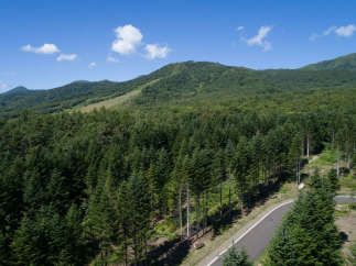 Land for Sale in Niseko with Mount Yotei Views - Thumbnail 4