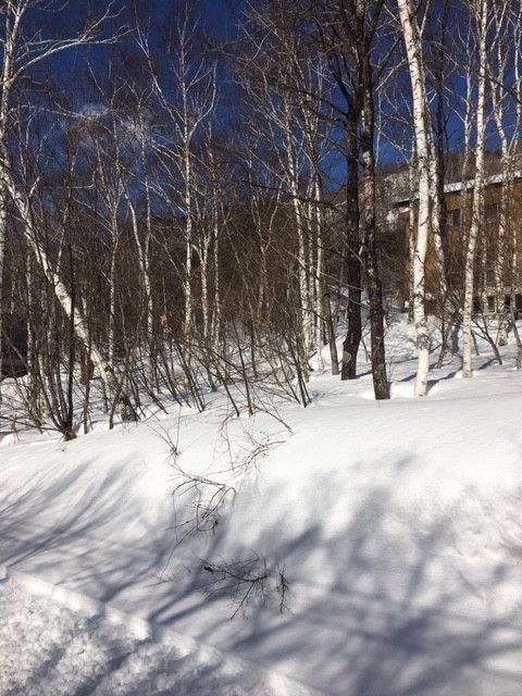 330sqm Land Plot for Sale in Naeba, Yuzawa, Niigata - Thumbnail 2