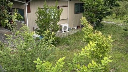 Renovated Traditional House with Orchards in Sanagouchi - Thumbnail 3