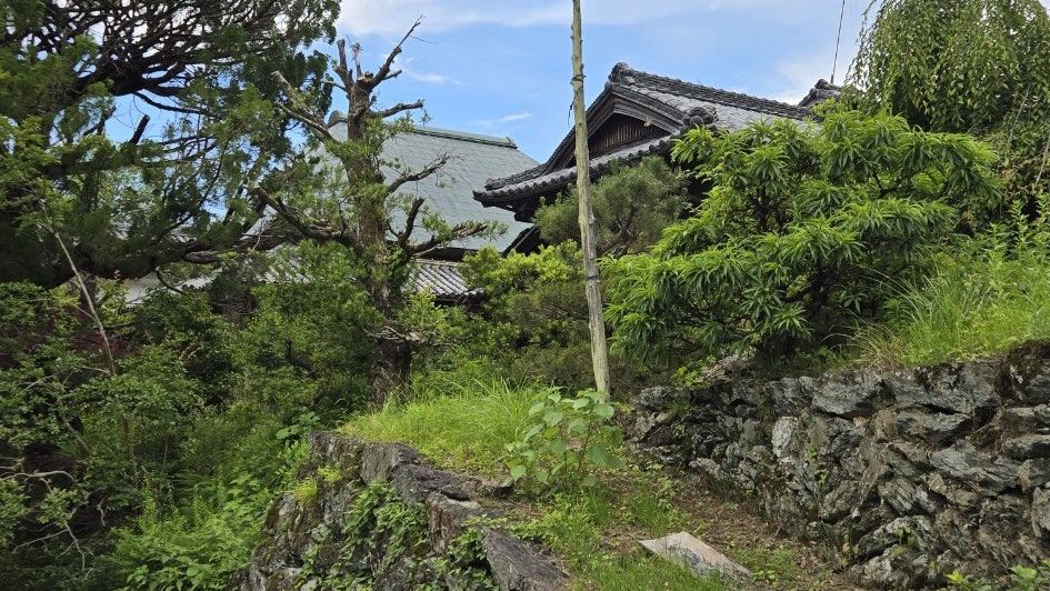 120+ Year Old Thatched House with Farmland in Sanagochi - Thumbnail 4