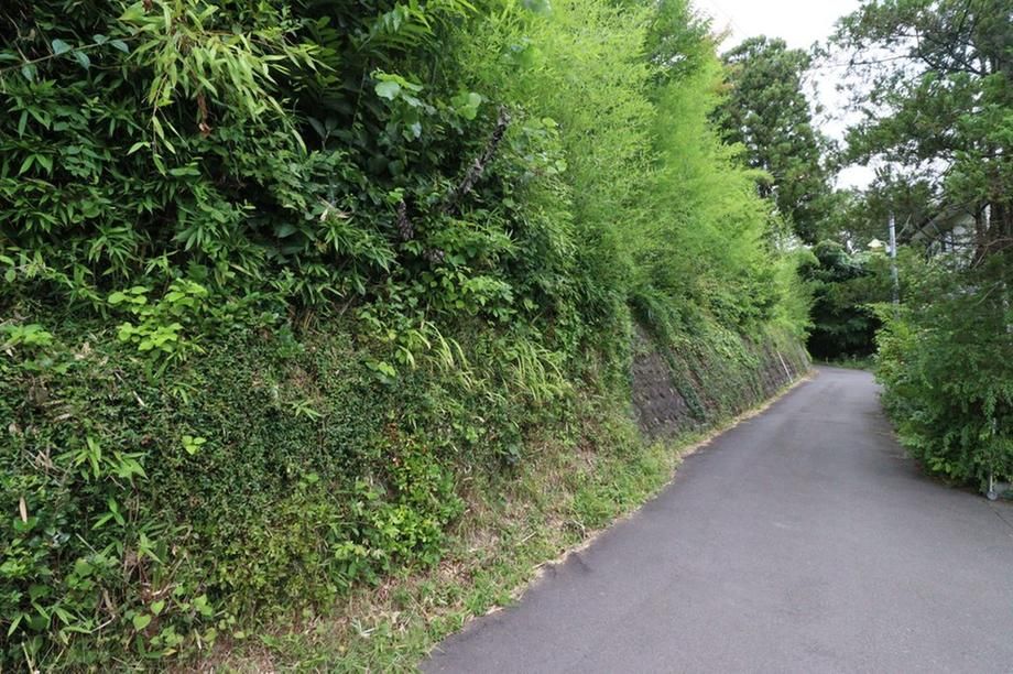 Land for Sale in Komatsushima Shintei, Aoba Ward, Sendai City - 1393 sqm - Thumbnail 3