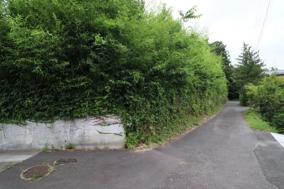 Land for Sale in Komatsushima Shintei, Aoba Ward, Sendai City - 1393 sqm - Thumbnail 4