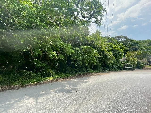 Land for Sale in Motobu Town, Okinawa - 1,871 sqm - Thumbnail 4