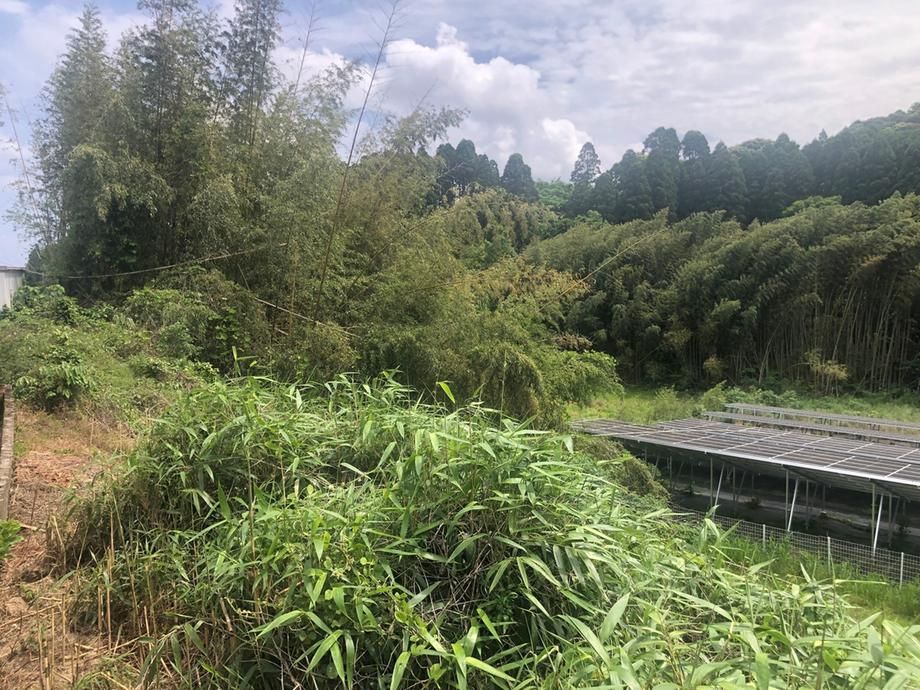 Land for Sale in Miyazaki City, Miyazaki Prefecture - Thumbnail 3