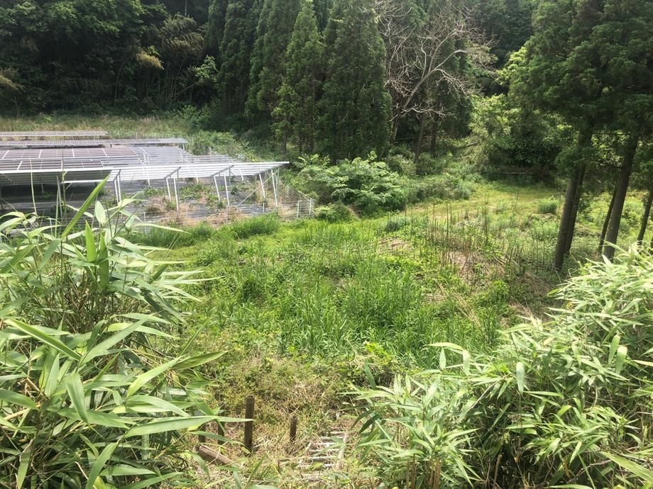 Land for Sale in Miyazaki City, Miyazaki Prefecture - Thumbnail 2