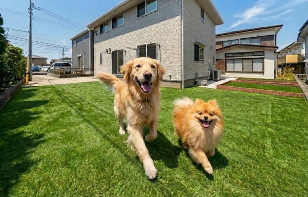 Renovated 3LDK House with Large Garden in Yokohama Izumi - Thumbnail 4
