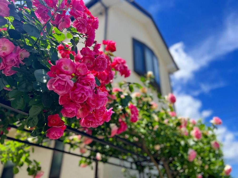 3LDK House for Sale in Machida, Tokyo - 107m2 - Thumbnail 4