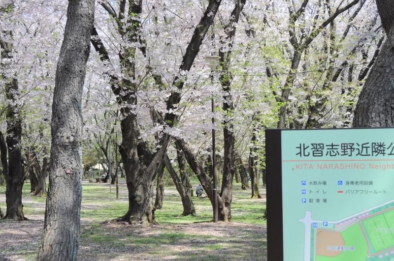 Land for Sale in Narashinodai, Funabashi - 135 sqm - Thumbnail 4